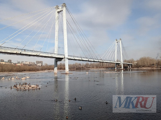 В Красноярске проект пешеходного моста от Ульяновского проспекта до острова Татышев завершат к декабрю