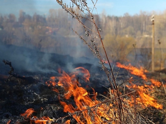 В Кировской области зарегистрировали первый пожар на местности