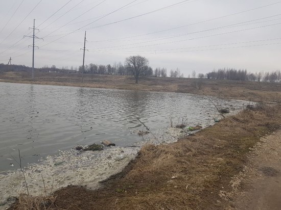 В Ясногорском районе обнаружили пруд с мертвыми карасями