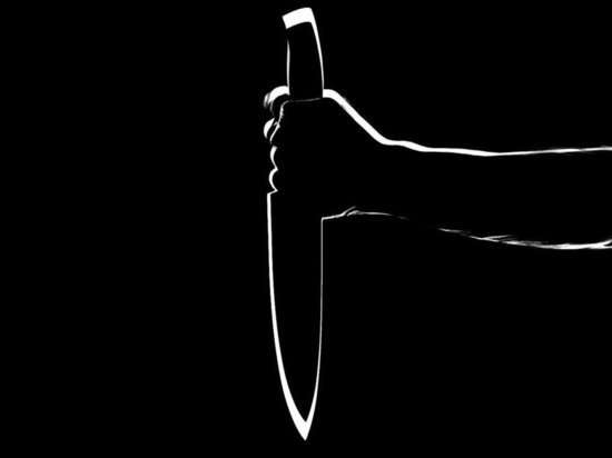 В Курске останется по стражей преподаватель техникума, зарезавшая сожителя кухонным ножом