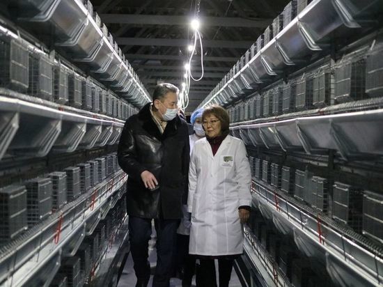 Якутская птицефабрика должна нарастить производство до 100 млн яиц в 2024 году
