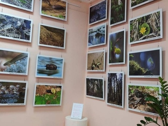 В Чухломском краеведческом музее открылась фото-экспозиция «Сказки Кологривского леса»