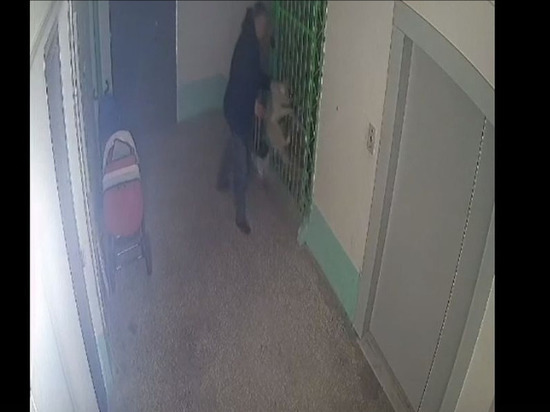 На окраине Омска мужчина сбросил собаку в лестничный пролёт с 10-го этажа