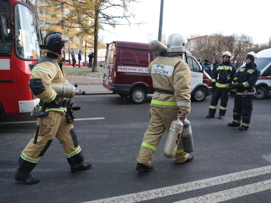 Петербуржцев предупредили о фейках про взрывчатку в подвалах жилых домов