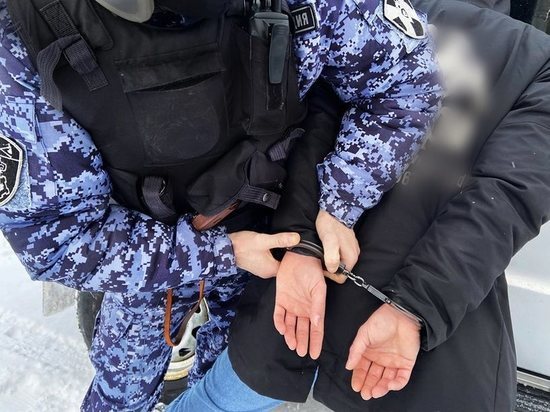 В Кирове росгвардейцы задержали подозреваемых в хулиганстве
