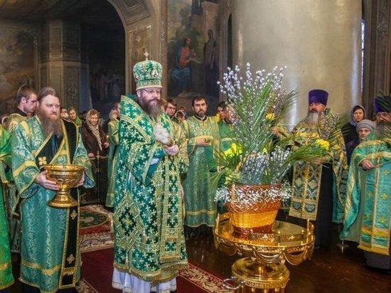 Православные тамбовчане празднуют Вербное Воскресенье