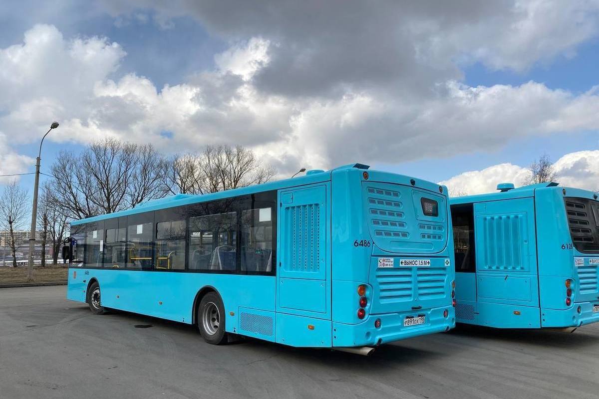 На дороги Петербурга выйдут 20 экологичных автобусов - МК Санкт-Петербург