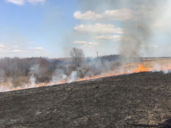 На Смоленщине 25 раз за сутки сжигали заживо птичьи гнезда, ежей и улиток