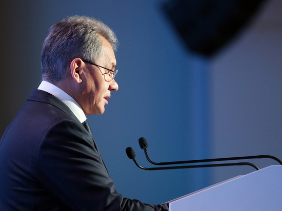 Шойгу заработал 16,6 млн рублей в 2021 году