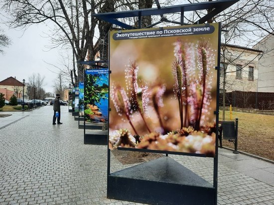 Уличная фотовыставка об экопутешествиях открылась в Пскове