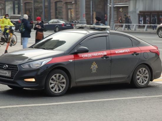 Следком заинтересовался словами Зеленского о заблаговременной подготовке Украины к войне