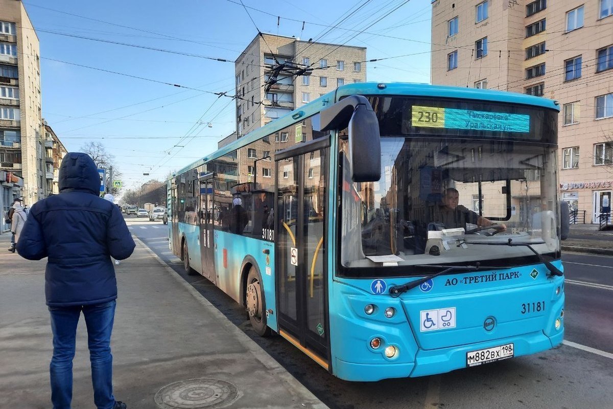 Автобус 230 спб на карте. Автобус 230. Новый общественный транспорт в Санкт-Петербурге. Автобус 230 СПБ. Автобус 97 СПБ.