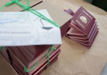 Граждане Украины за первые три месяца 2022 года чаще других получали российское гражданство