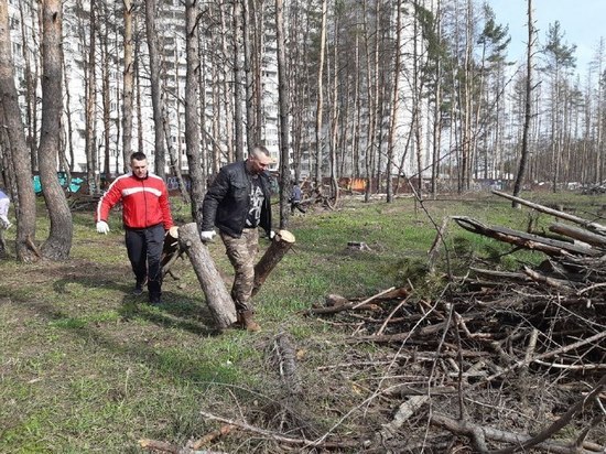 В уборке воронежского Северного леса приняли участие более 300 человек