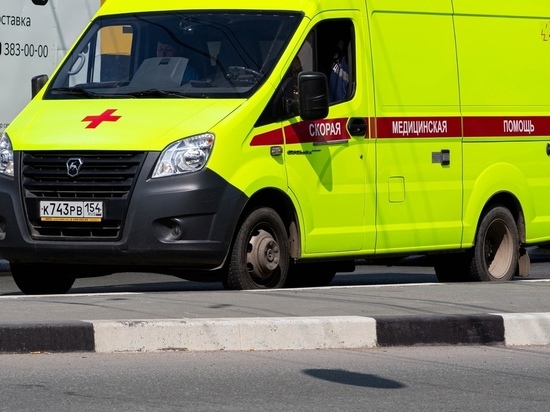 Двое жителей села напали на сотрудников полиции в Новосибирской области