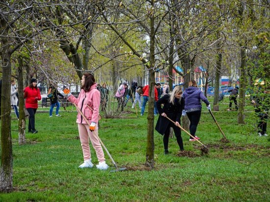 Больше 7 тысяч дончан вышли на субботник