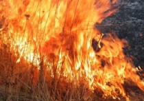 Лесной пожар возник в эти минуты в нескольких километрах от игорной зоны «Приморье», расположенной в бухте Муравьиная (Амбавозы). 