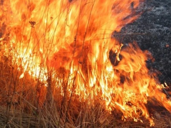 В нескольких километрах от игорной зоны «Приморье» горит лес