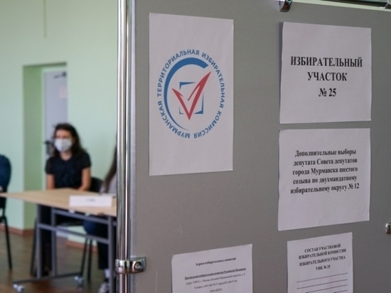 В Мурманской областной библиотеке молодежь знакомится с технологией избирательного процесса