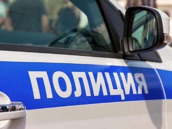 Жителя Калмыкии заключили под стражу за фейки о Вооруженных силах России