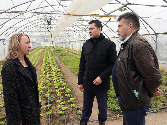 Калининградские фермеры планируют увеличить производство овощей