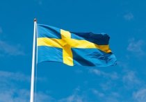 В Швеции вспыхнули беспорядки перед началом акции ультраправого политика Расмуса Палудана