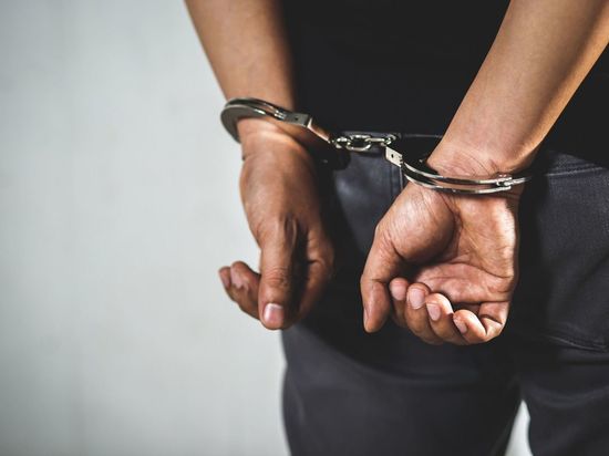 Гатчинского краеведа задержали по подозрению в растлении 11-летнего