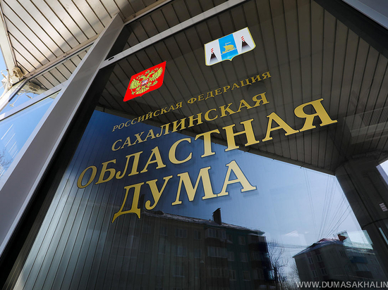 Сахалинские депутаты показали свои доходы: кто из них богаче?