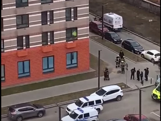 Был награжден грамотой