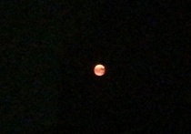 Полную луну красного цвета можно было увидеть над Новосибирском сегодня глубокой ночью