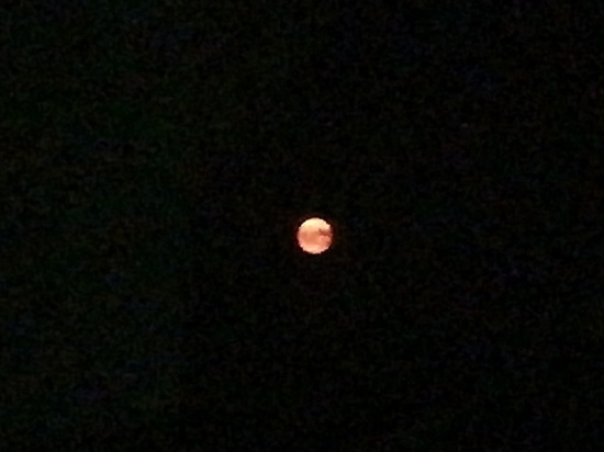 Луна окрасилась в красный цвет из-за пыли и дыма в Новосибирске