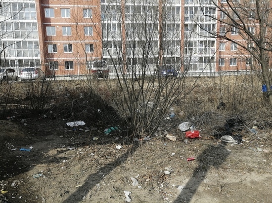 Обычная уборка вокруг дома на Воронежском шоссе стала настоящим соревнованием кладоискателей