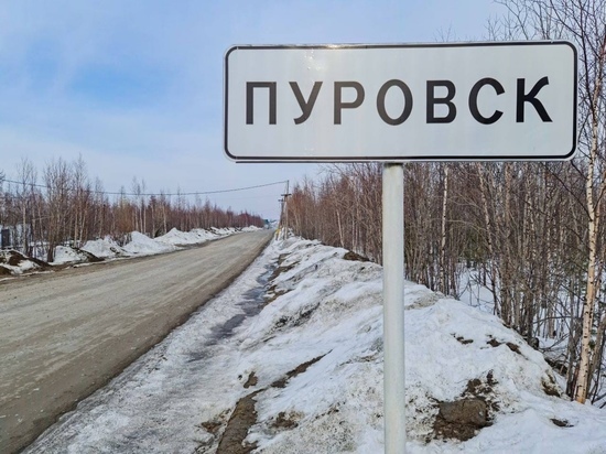 Асфальтированную дорогу на выезде из Пуровска построят этим летом