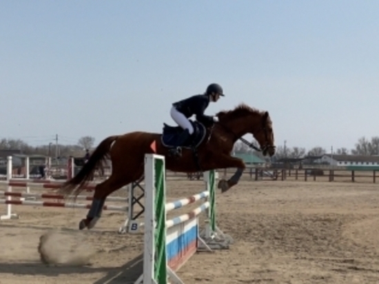 В Абакане состоялся «Весенний кубок» по конному спорту