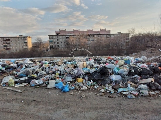 Горожане пожаловались на гору мусора на берегу Читинки