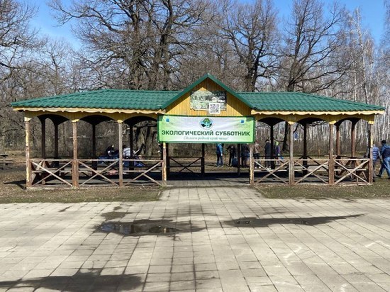 В Саратове на Кумысной поляне обустроят еще три родника