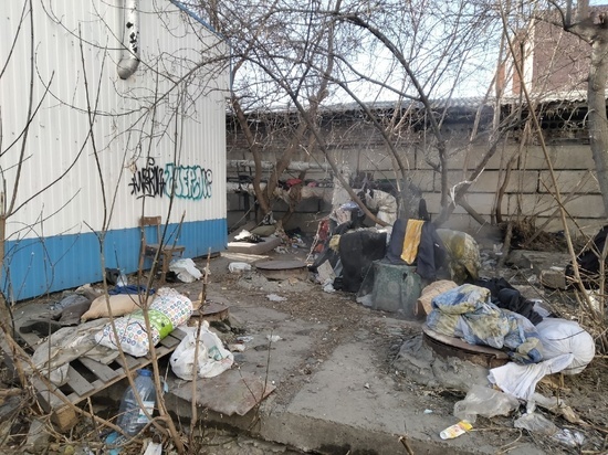 В Томске по-прежнему грязно: первый весенний субботник ситуацию не исправил