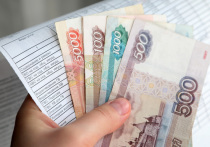Россиян, которые не вносят квартплату за временно проживающих в их жилых помещениях граждан, могут обязать платить за коммунальные ресурсы в два раза больше