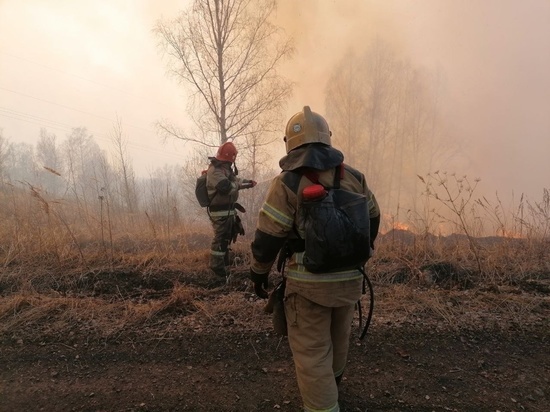 На Алтае потушили масштабный природный пожар