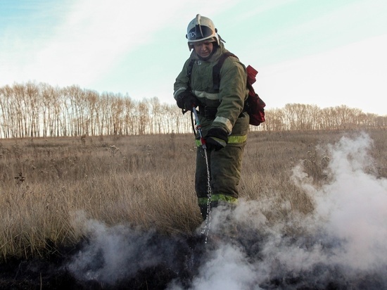 Около 500 пожаров потушили в Алтайском крае за выходные