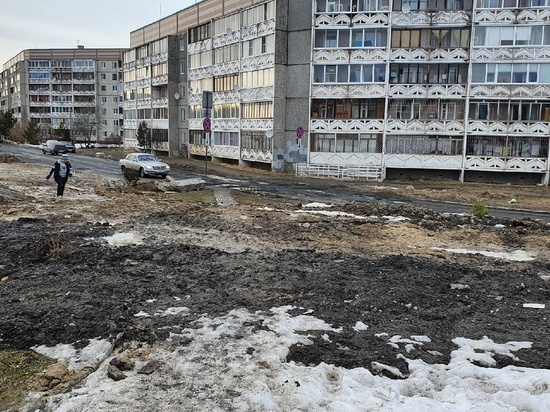 В Петрозаводске пообещали совладать с грязью и жижей