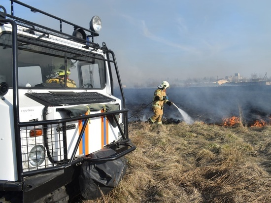 Трава в Новгородской области в воскресенье вспыхивала несколько десятков раз