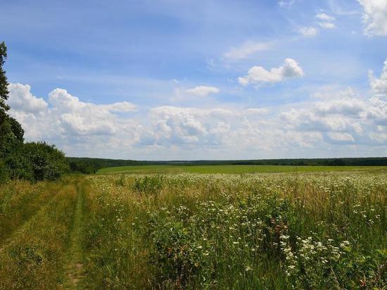 Белгородское село Головчино было обстреляно со стороны Украины, пострадала женщина