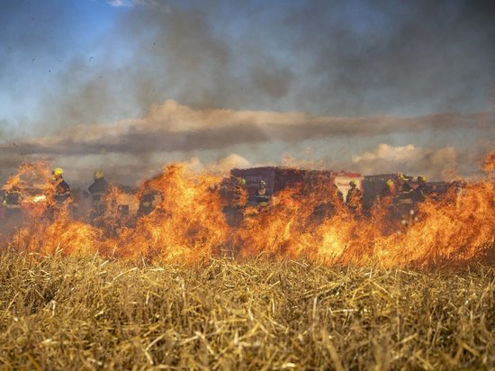 Новые очаги возгорания лесных пожаров зафиксировали в Забайкалье