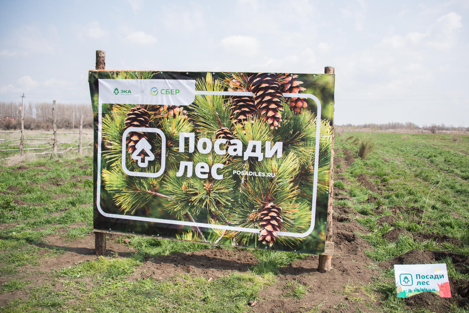 В Астрахани высадили две тысячи молодых ясеней и ив: кадры людей с лопатами и саженцами 