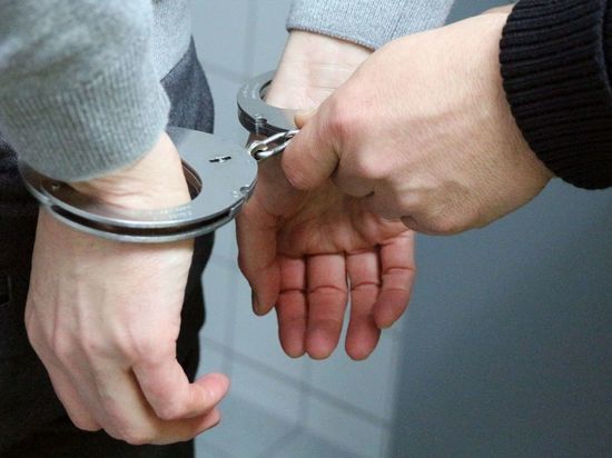 Полицейские поймали обманувших петербуржцев на 107 млн рублей организаторов «финансовой пирамиды»