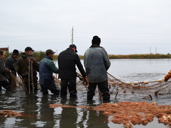 Астраханским рыбакам проще стать браконьерами, чем бороться с произволом
