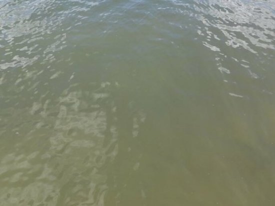 В пруду в Сосновском районе утонул мужчина