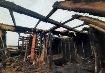 Ночью 19 апреля в барнаульском поселке «Авиатор» произошел пожар, в результате которого погибли три человека