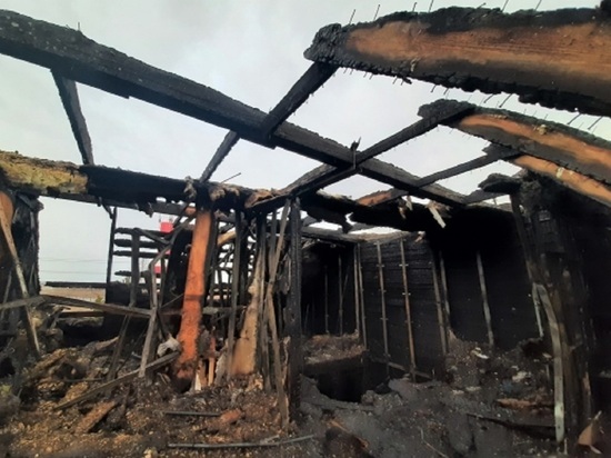 В барнаульском поселке «Авиатор» при пожаре погибли три человека